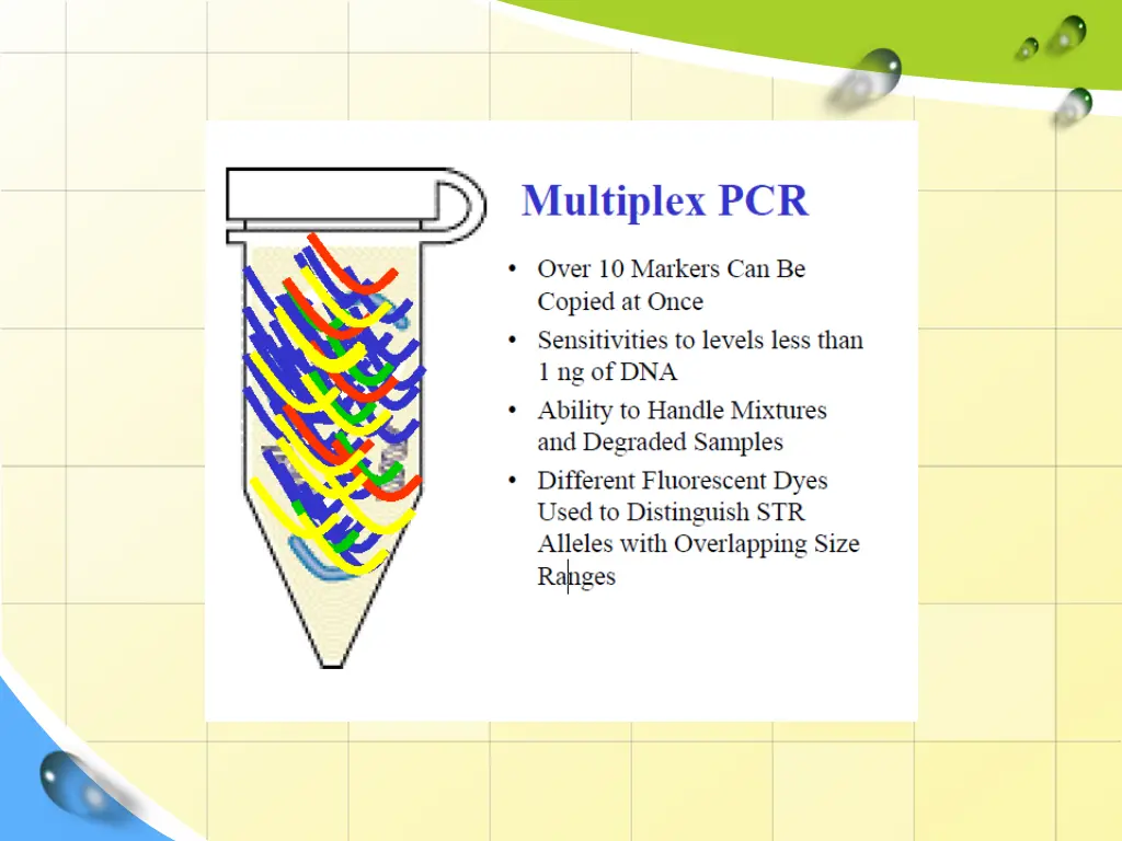 slide19
