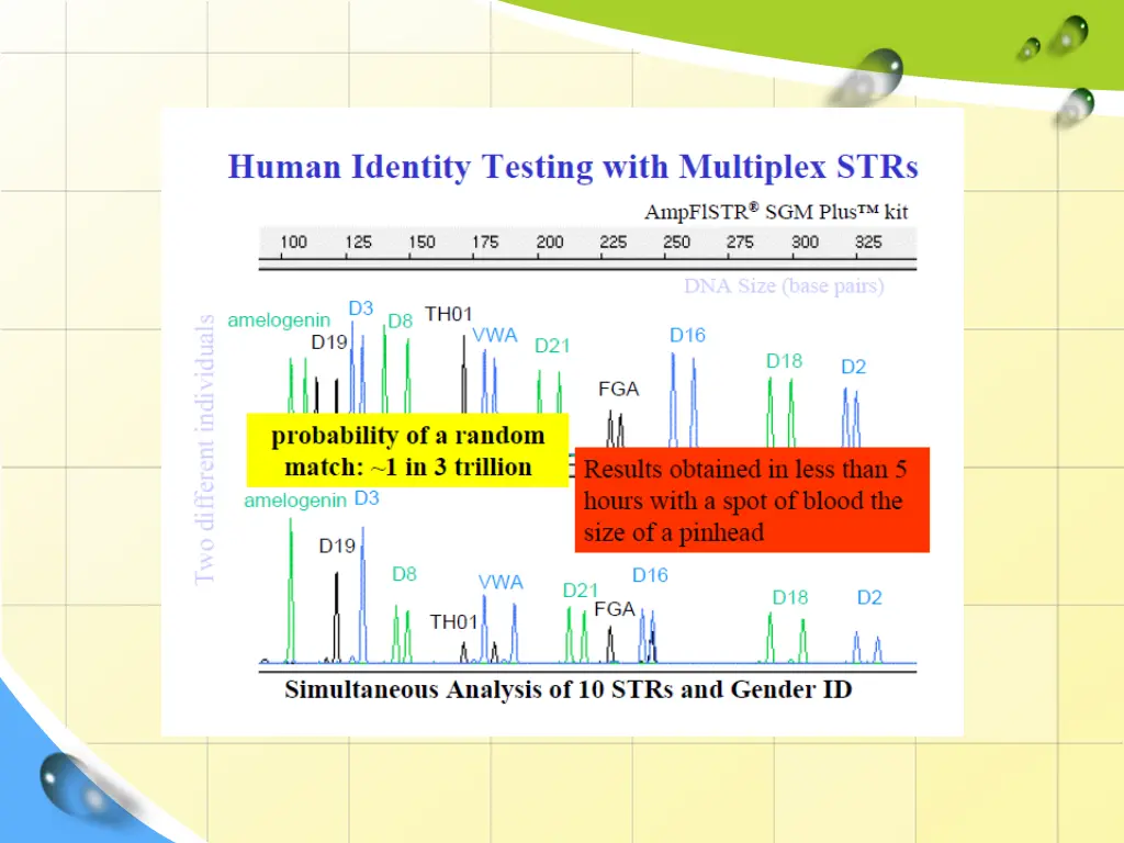 slide20