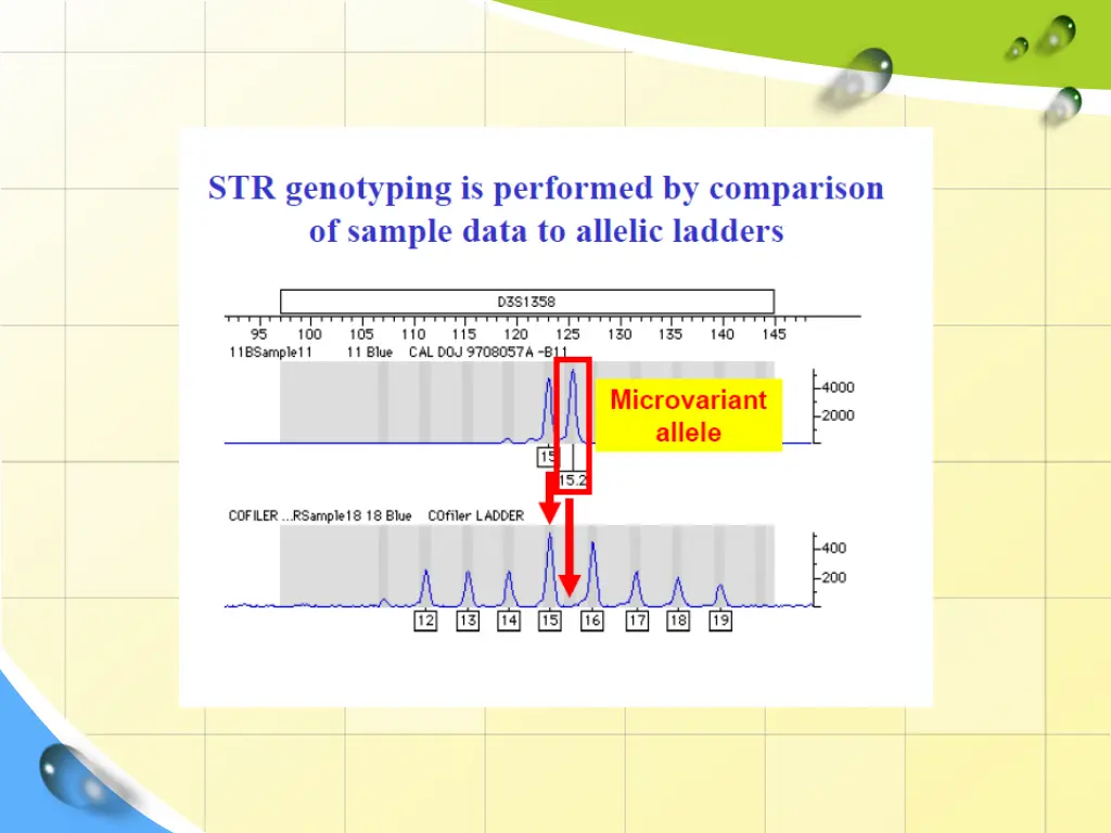 slide21