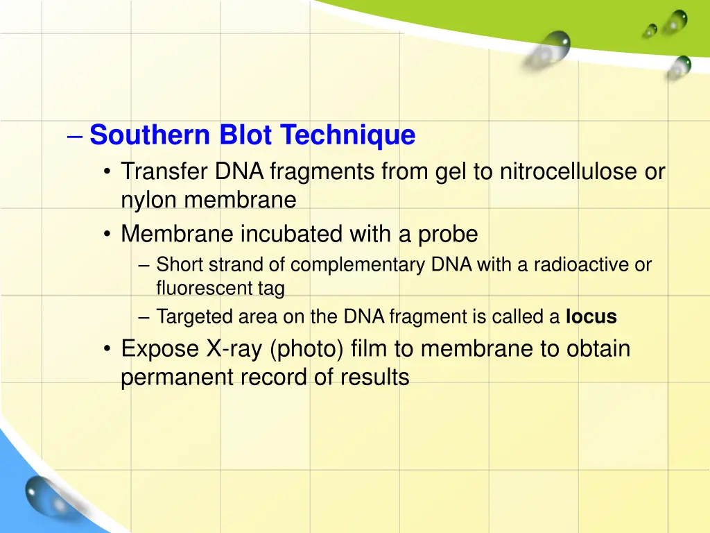southern blot technique transfer dna fragments