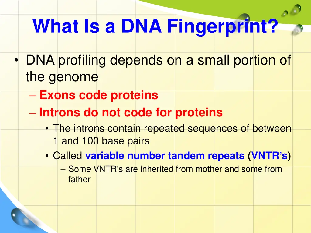 what is a dna fingerprint 1