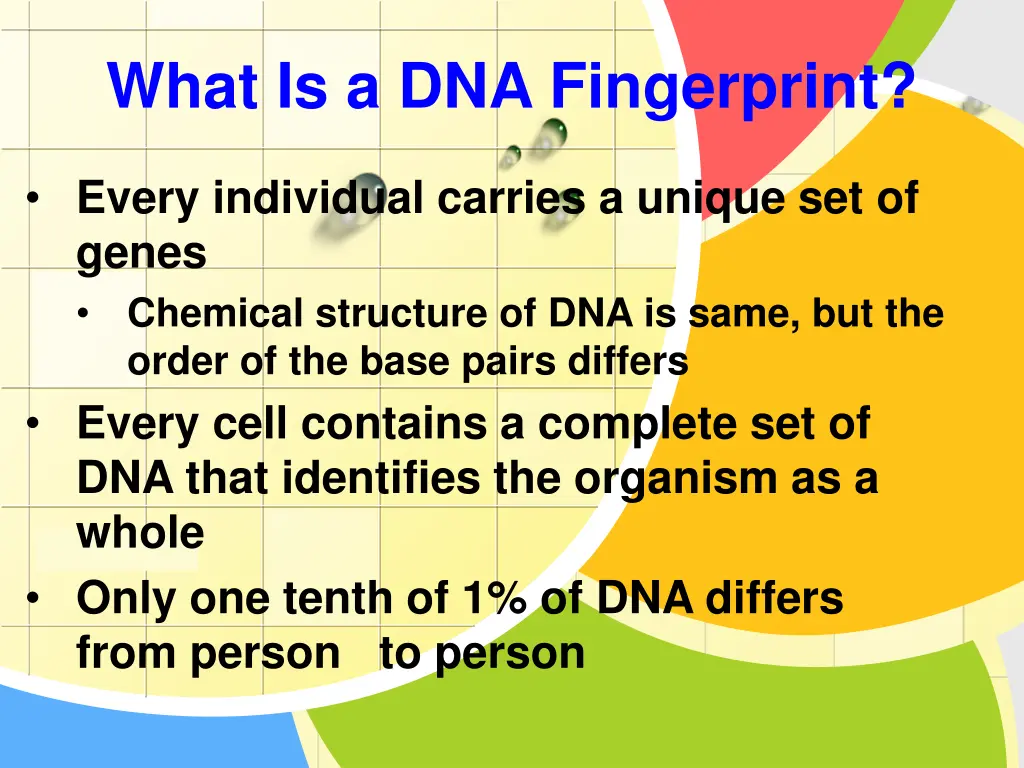 what is a dna fingerprint
