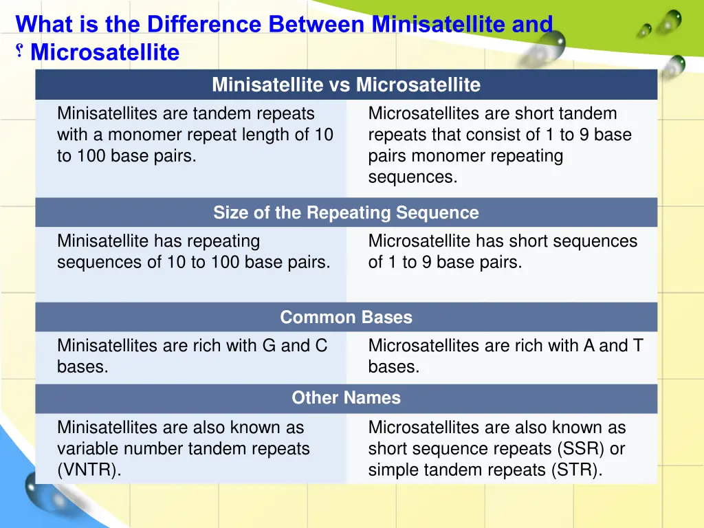 what is the difference between minisatellite