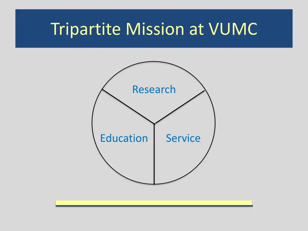 tripartite mission at vumc