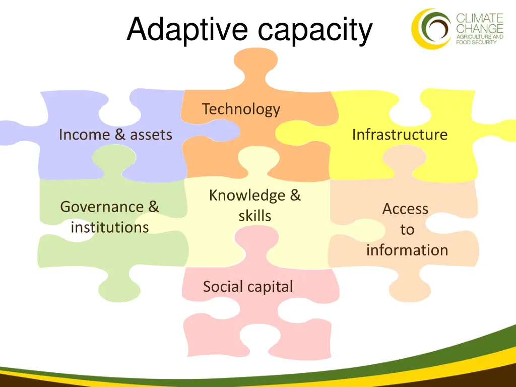 adaptive capacity
