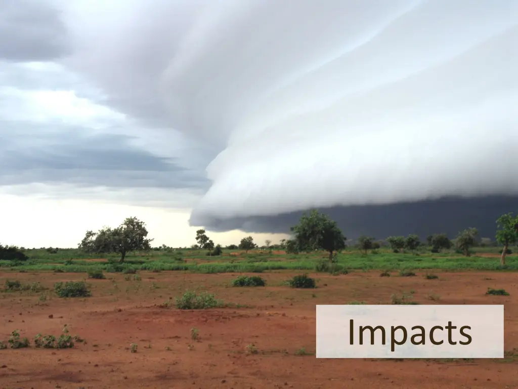 impacts