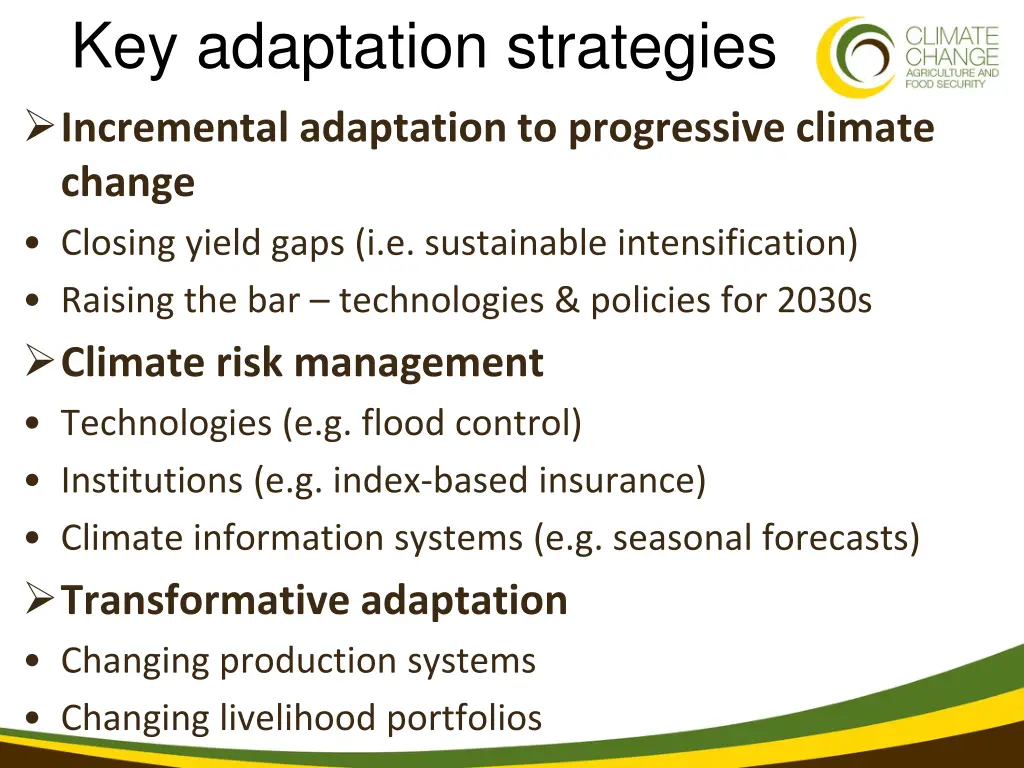 key adaptation strategies incremental adaptation