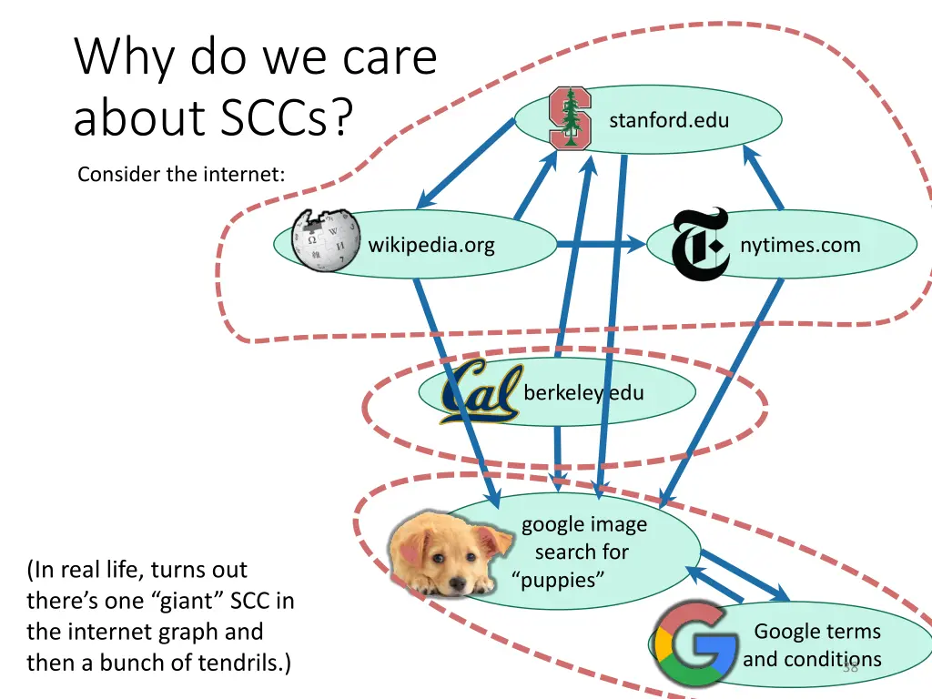 why do we care about sccs 1