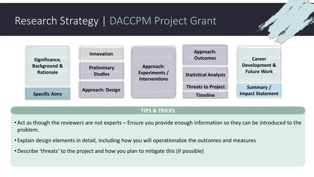 research strategy daccpm project grant
