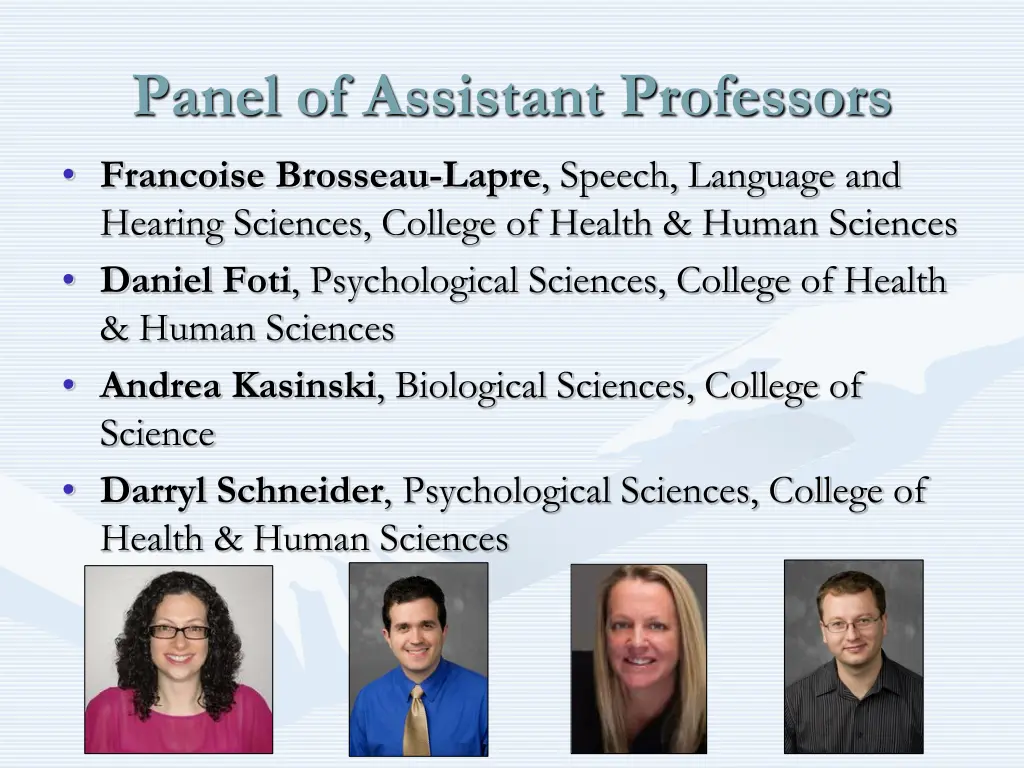 panel of assistant professors