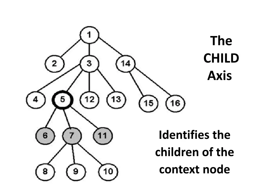 the child axis