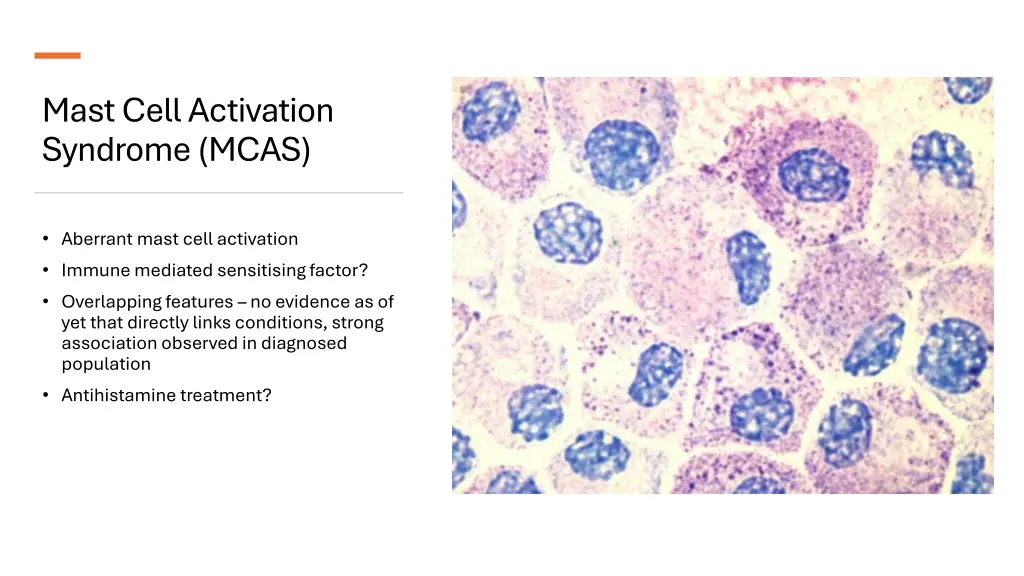 mast cell activation syndrome mcas