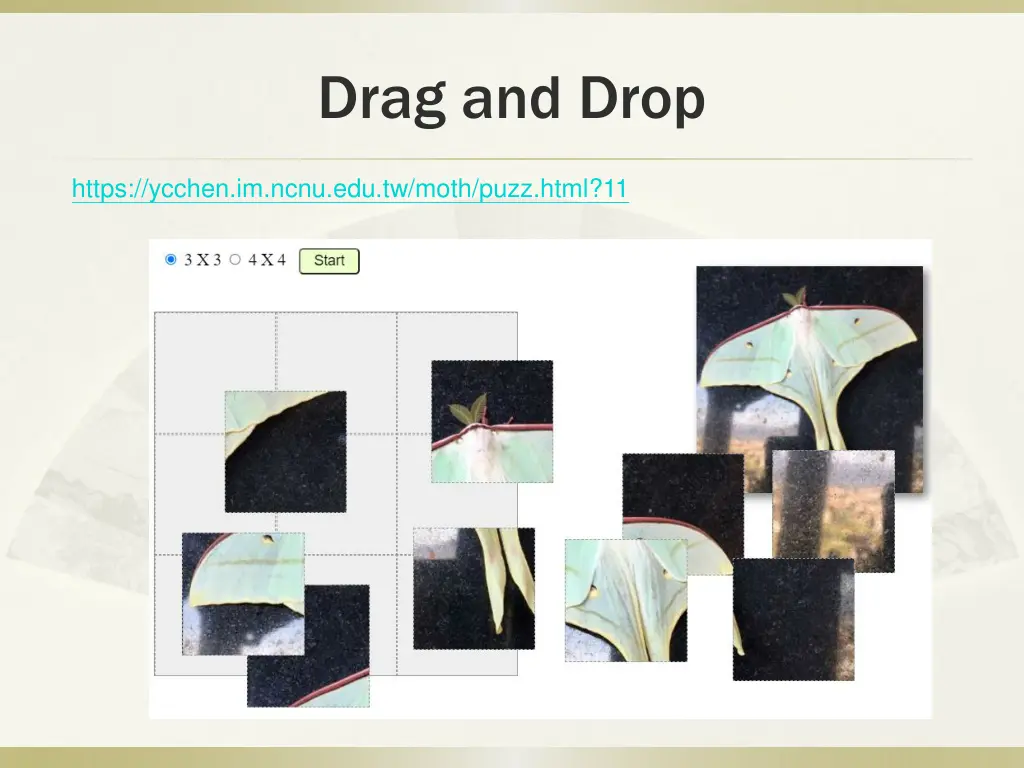 drag and drop