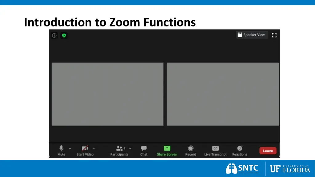 introduction to zoom functions