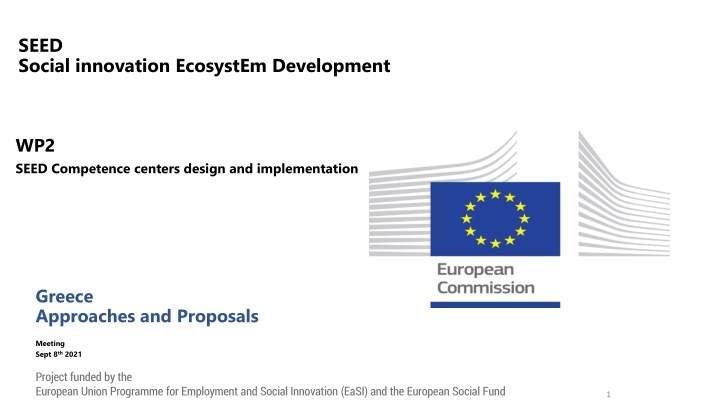 seed social innovation ecosystem development