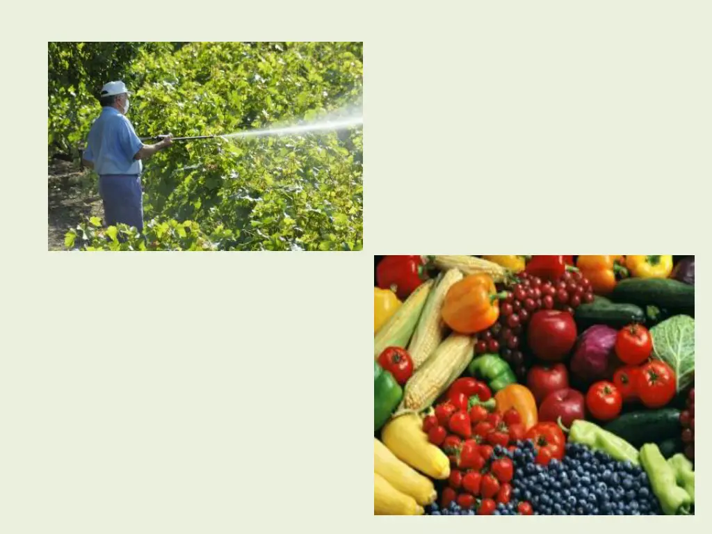 slide14