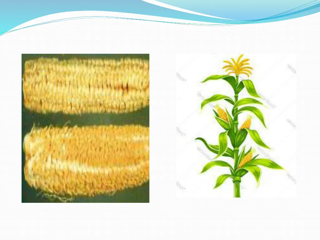 slide12
