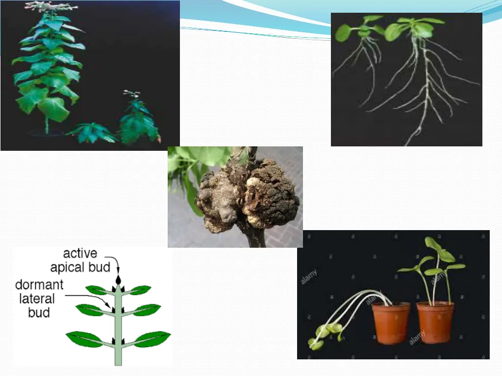 slide23