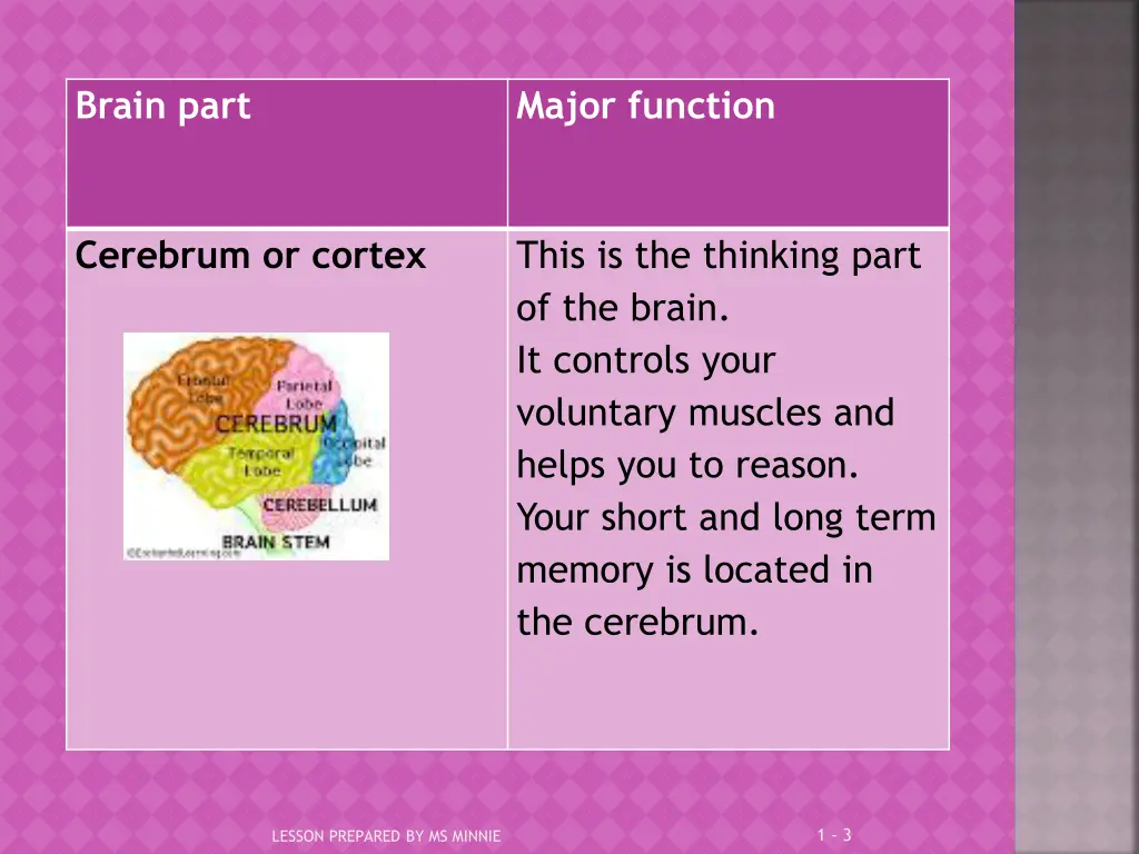 brain part