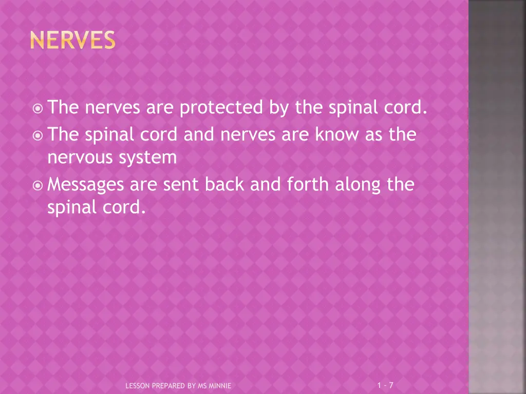 nerves