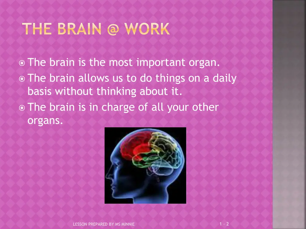 the brain @ work