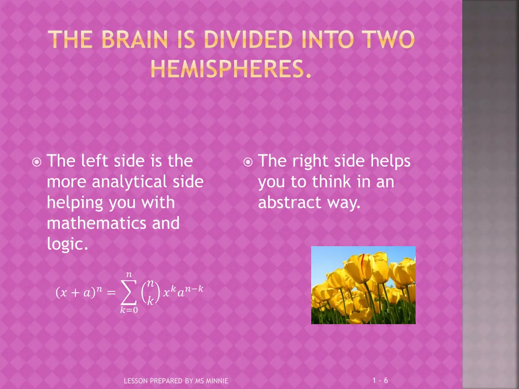 the brain is divided into two hemispheres