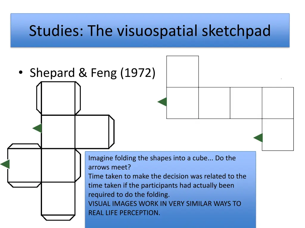 studies the visuospatial sketchpad