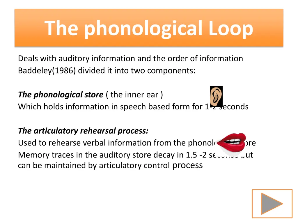 the phonological loop