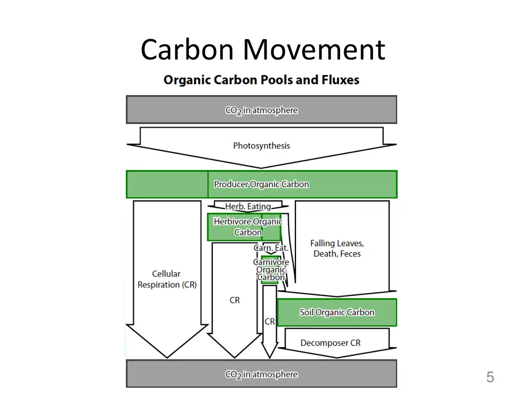 carbon movement 1