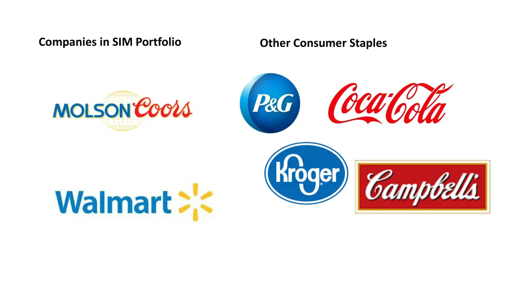 companies in sim portfolio