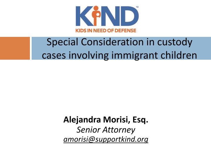 special consideration in custody cases involving