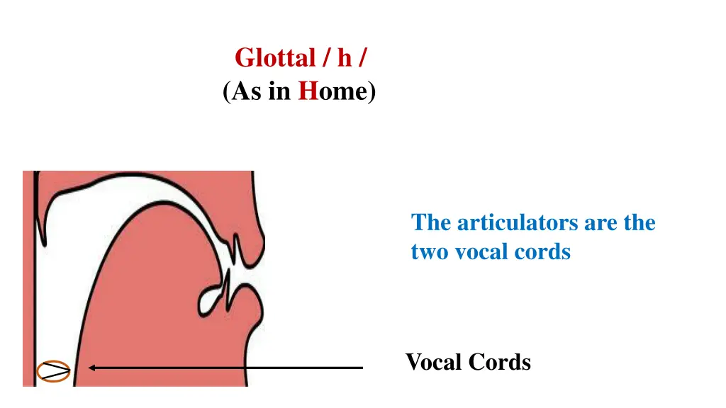 glottal h as in home