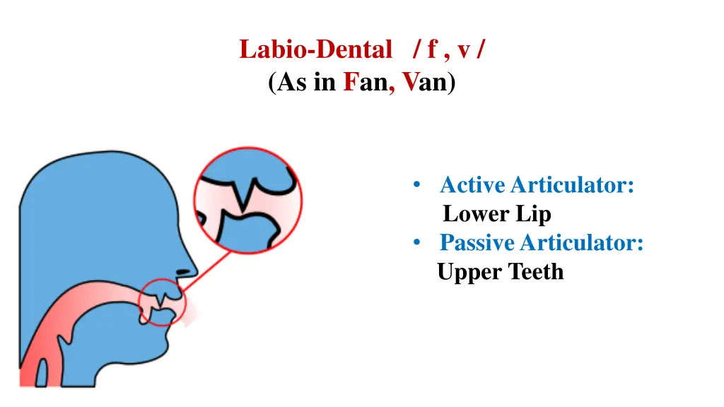 labio dental f v as in fan van