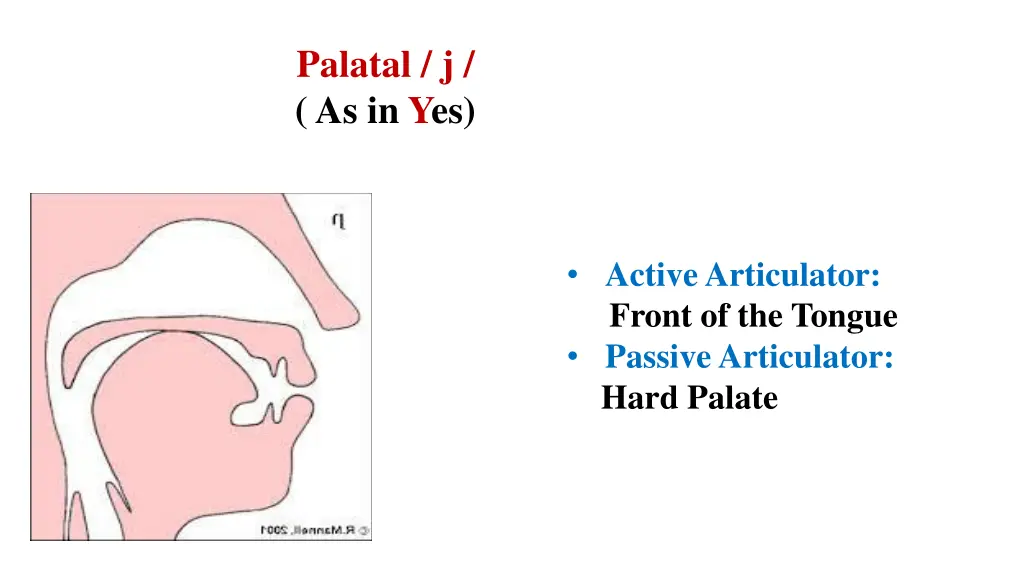 palatal j as in yes