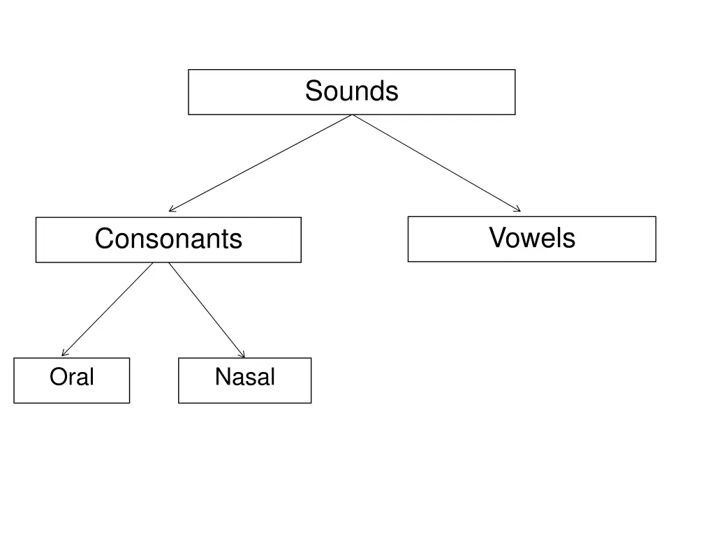 sounds