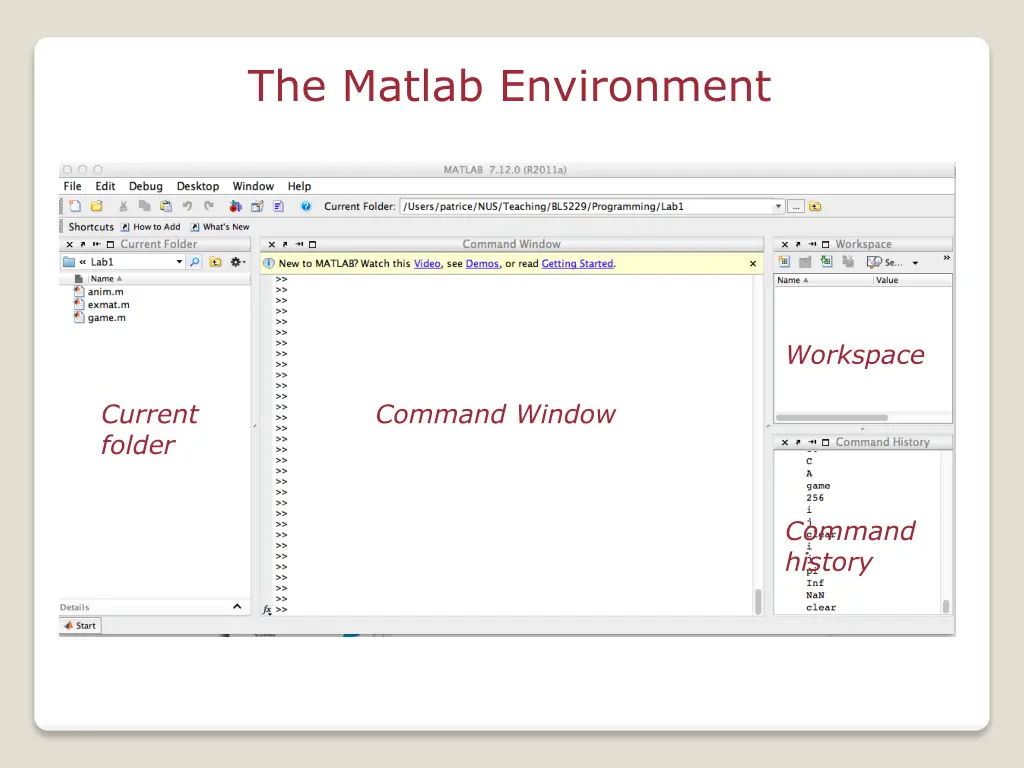 the matlab environment