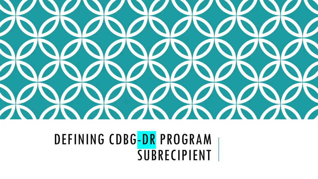 defining cdbg dr program