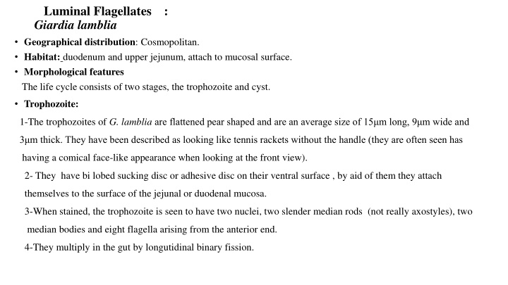 luminal flagellates giardia lamblia geographical