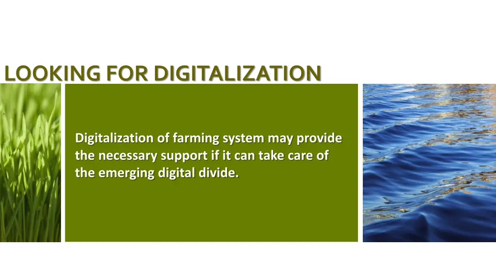 looking for digitalization