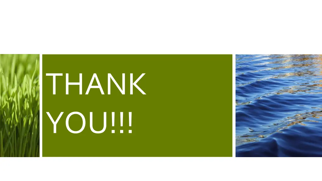 thank you