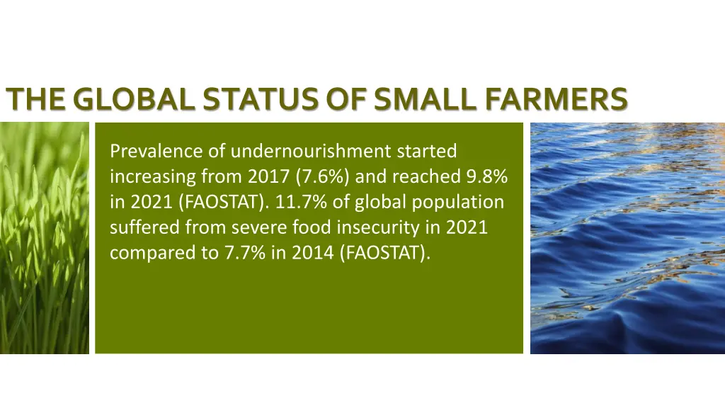 the global status of small farmers 1