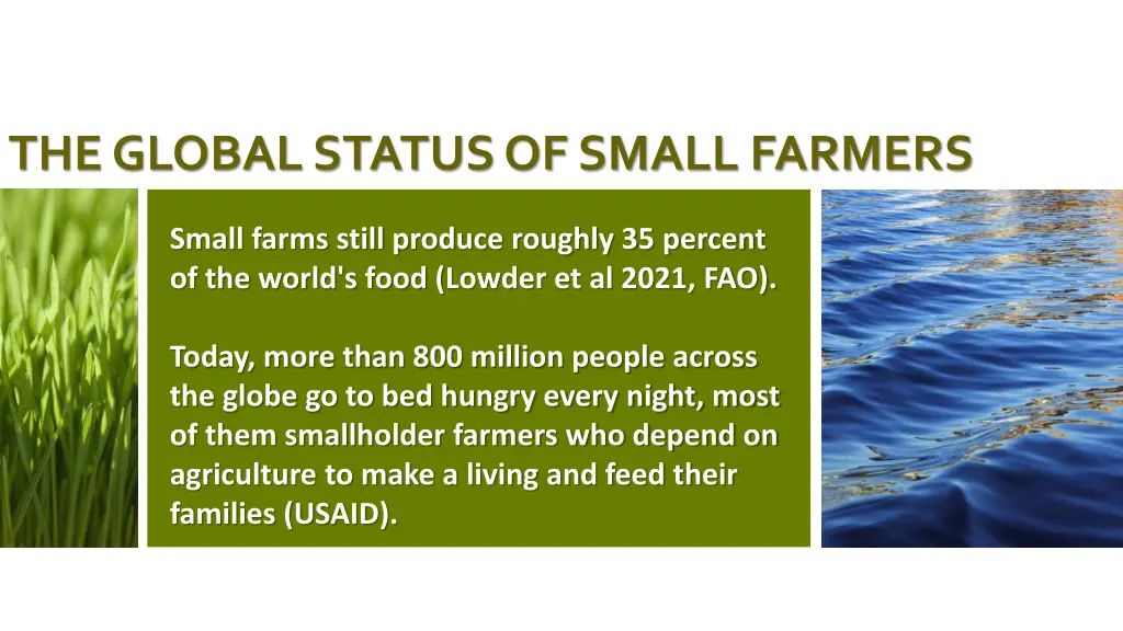 the global status of small farmers 2