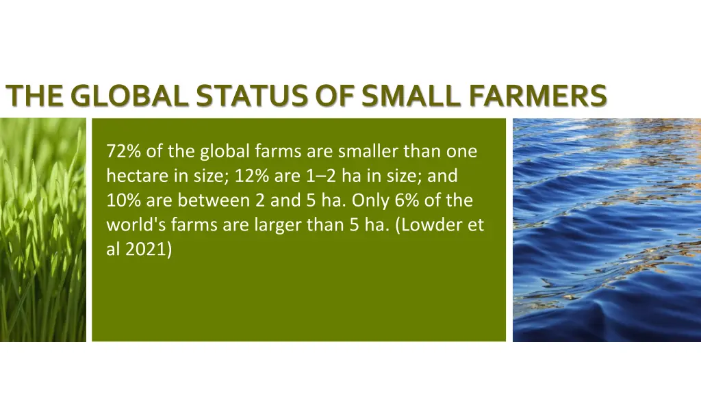 the global status of small farmers