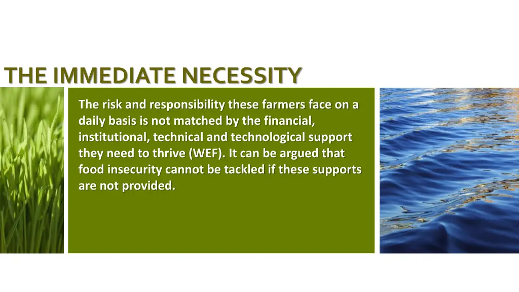 the immediate necessity 1