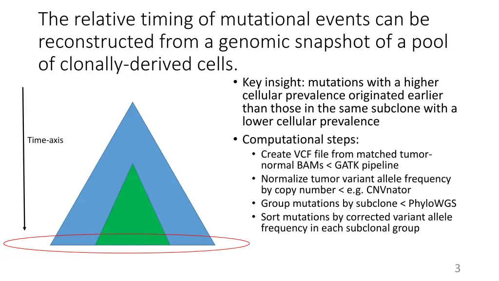 the relative timing of mutational events