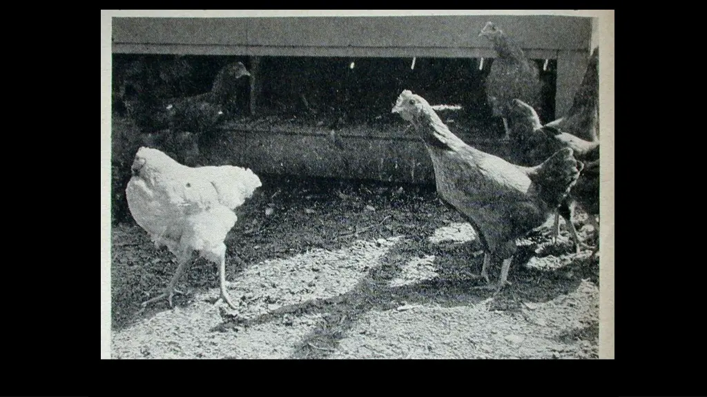 slide4