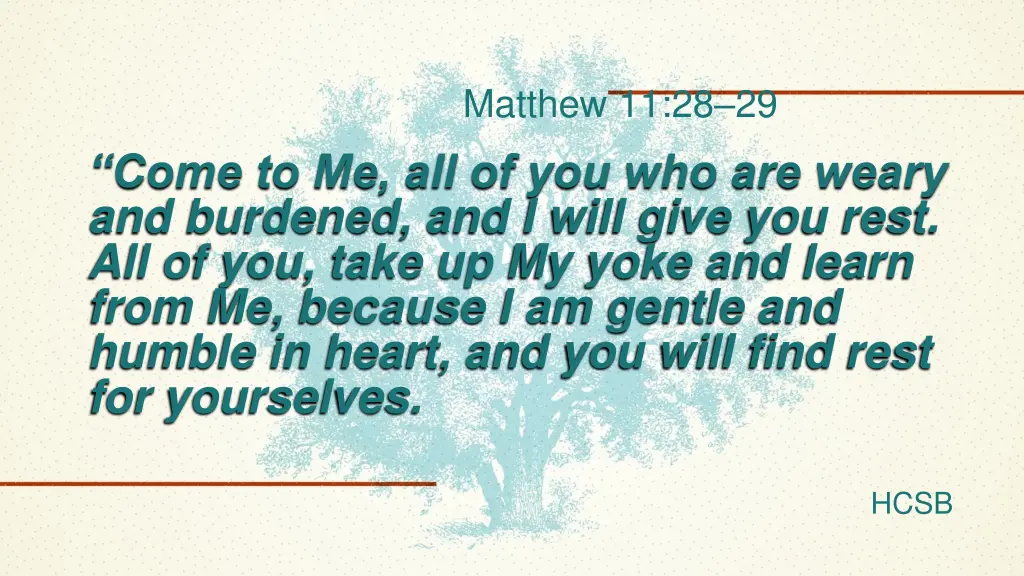 matthew 11 28 29