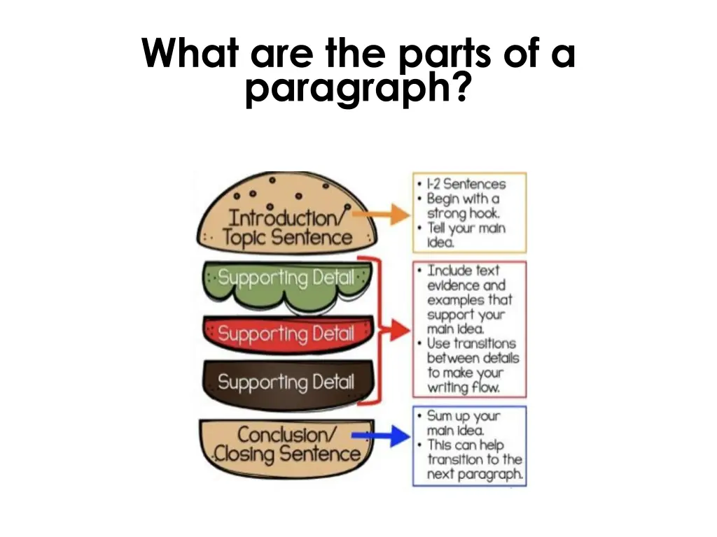 what are the parts of a paragraph