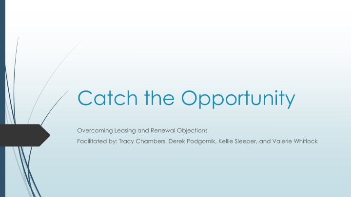 catch the opportunity