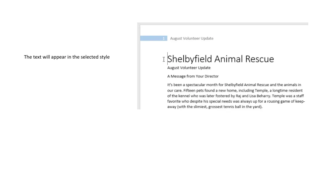 the text will appear in the selected style